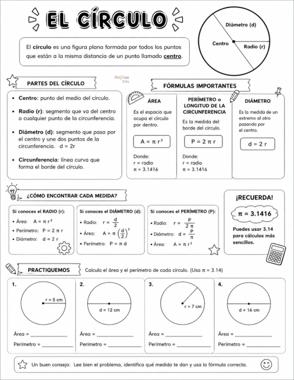Ficha Educativa del Círculo: Área, Perímetro (Circunferencia), Radio, Diámetro y Ejercicios para Primaria