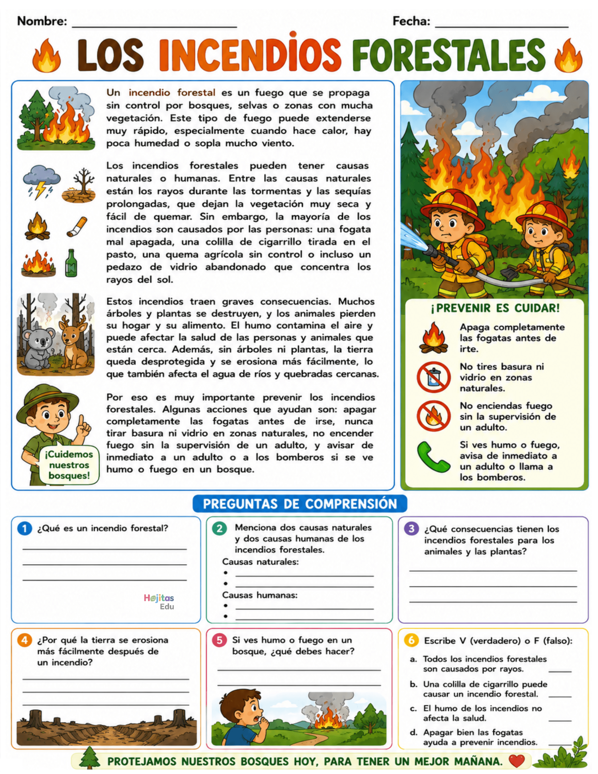 Incendios forestales: causas, consecuencias y prevención