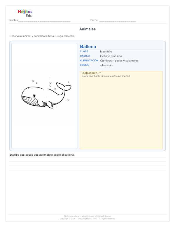 Ficha de la Ballena — Hábitat, Alimentación y Datos Curiosos