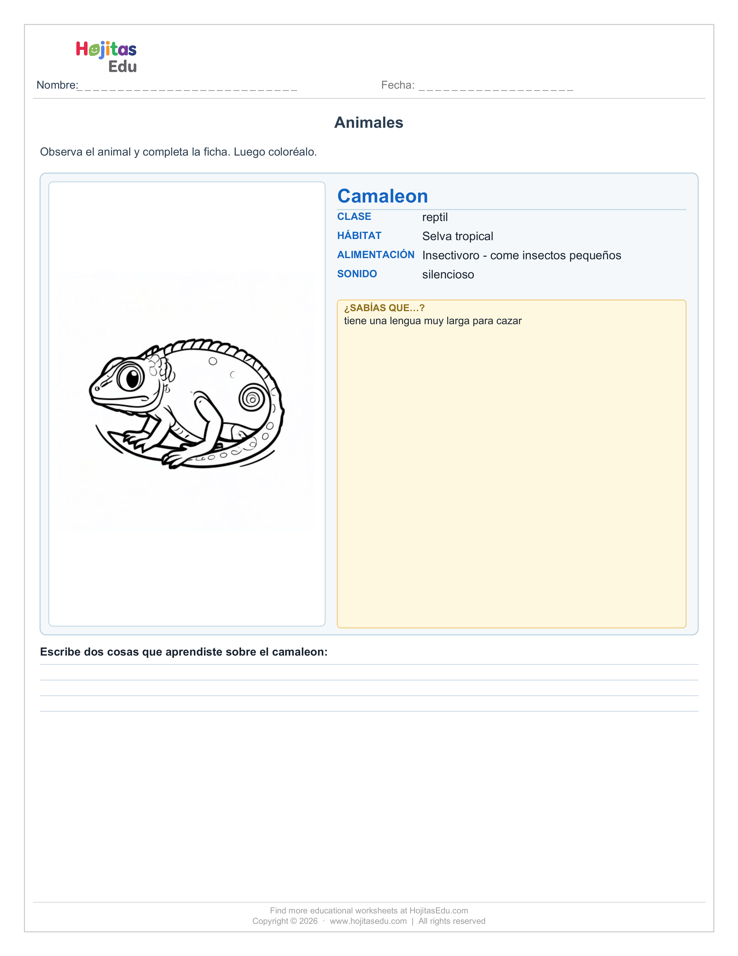 Ficha del Camaleón — Hábitat, Alimentación y Datos Curiosos