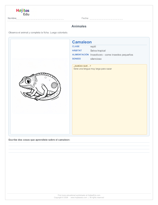Ficha del Camaleón — Hábitat, Alimentación y Datos Curiosos