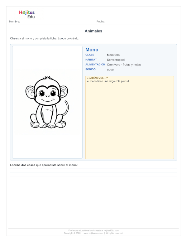 Ficha del Mono — Hábitat, Alimentación y Datos Curiosos