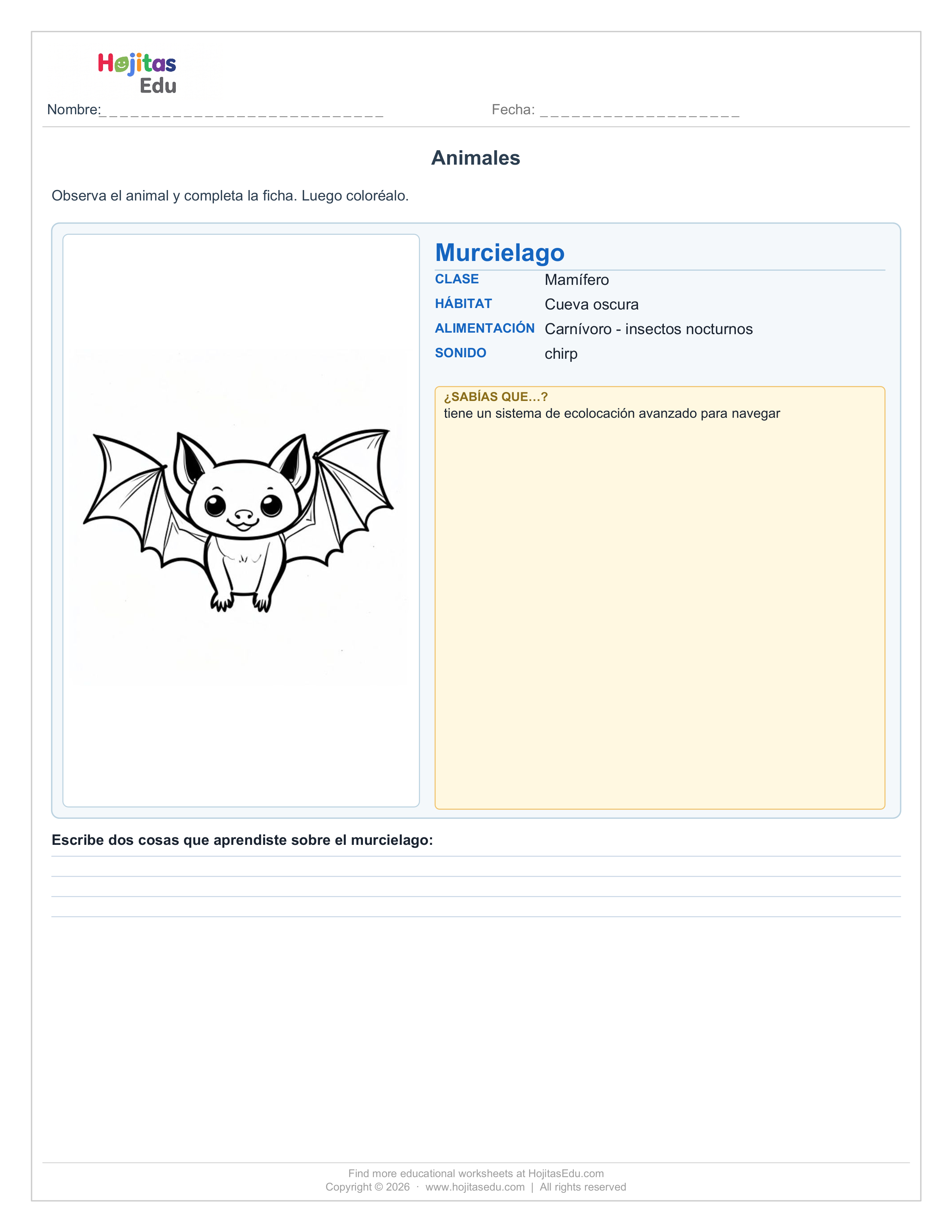 Ficha del Murciélago — Hábitat, Alimentación y Datos Curiosos