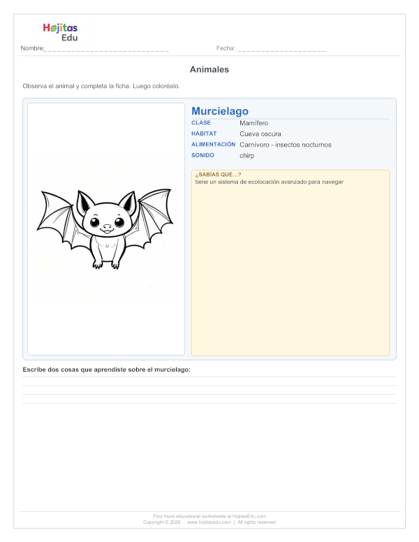 Ficha del Murciélago — Hábitat, Alimentación y Datos Curiosos