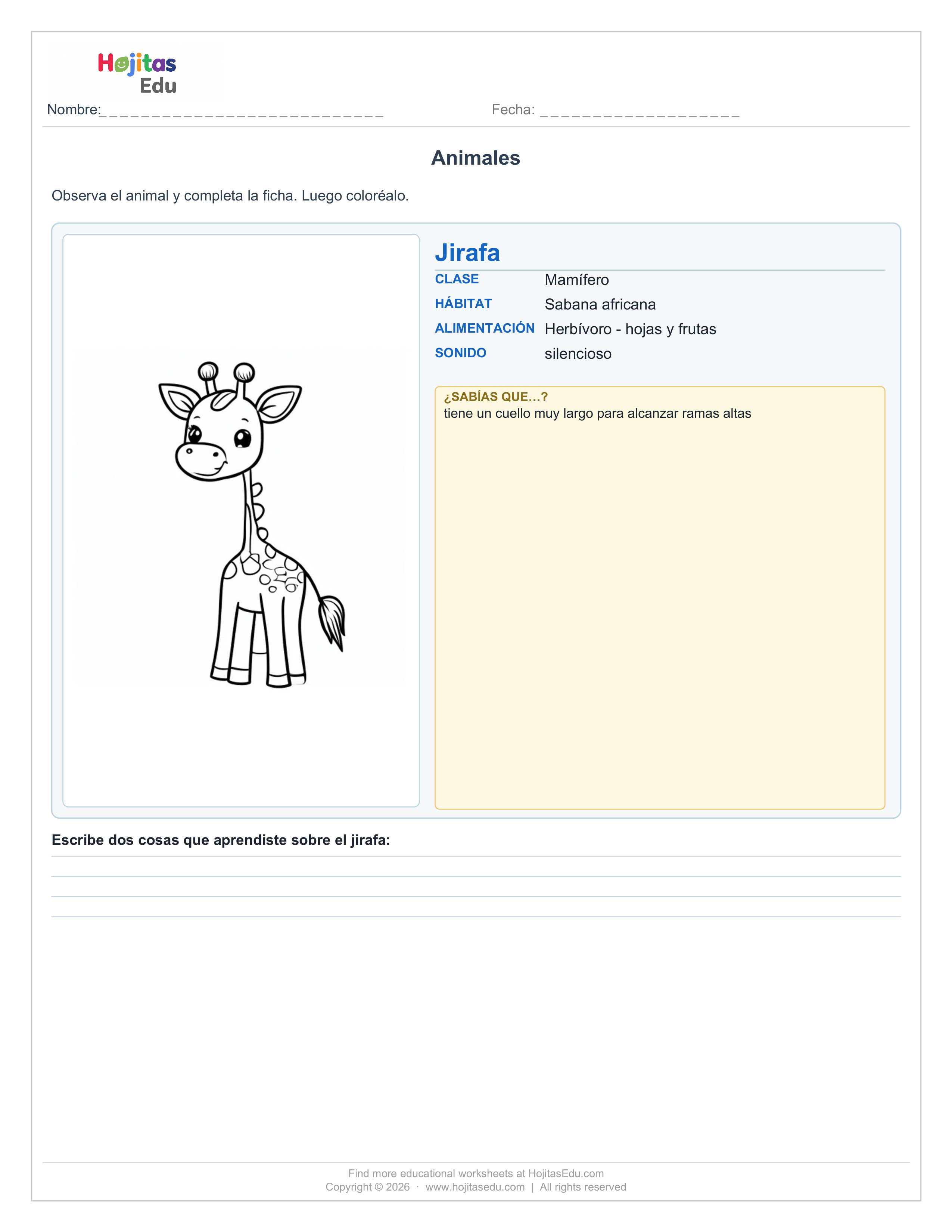Ficha de la Jirafa — Hábitat, Alimentación y Datos Curiosos