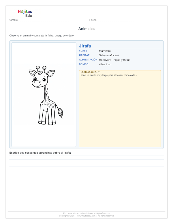 Ficha de la Jirafa — Hábitat, Alimentación y Datos Curiosos