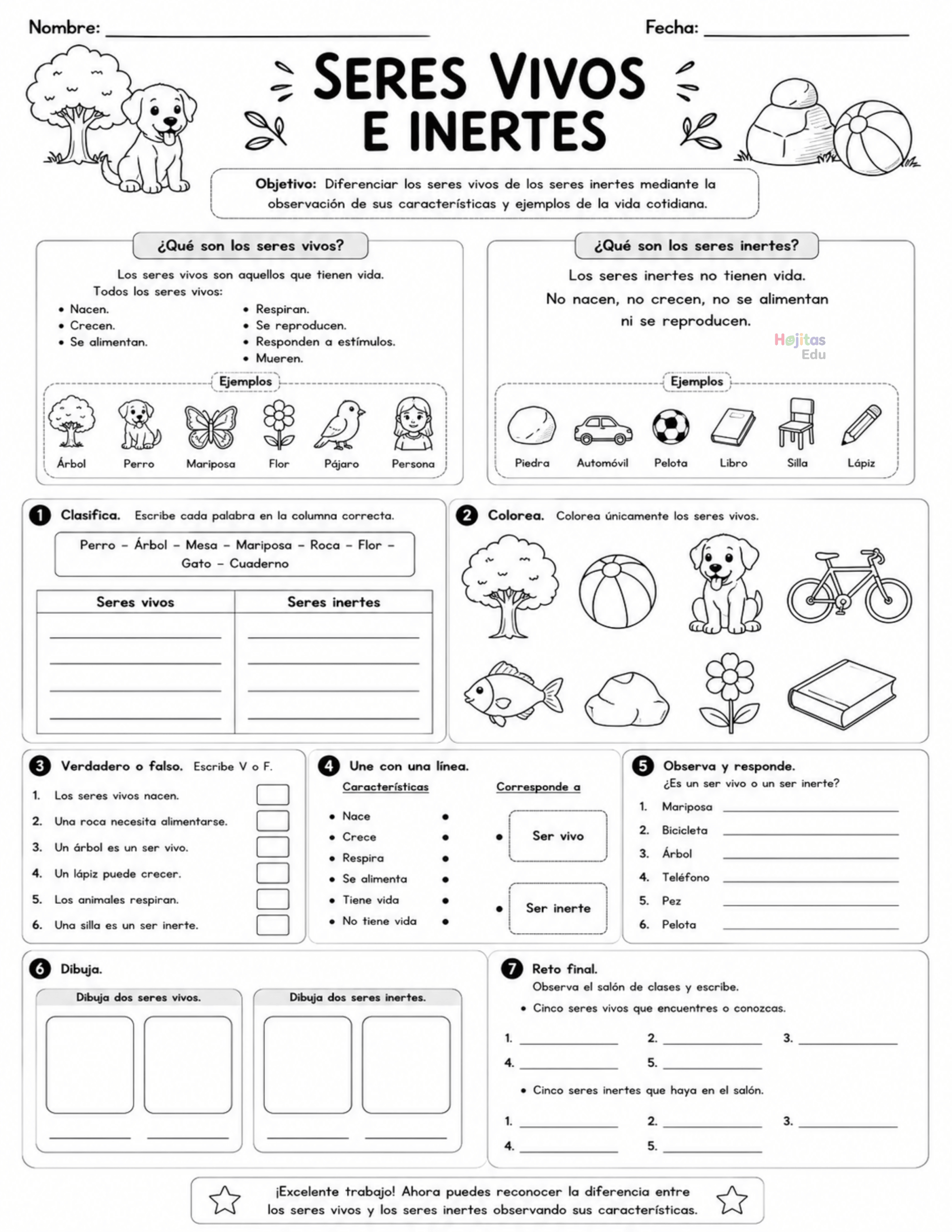 Seres Vivos y Seres Inertes