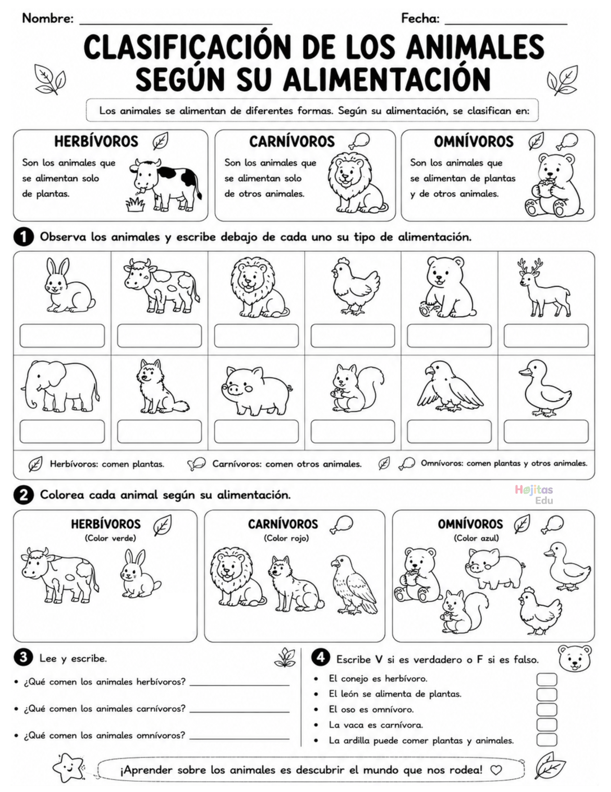 Clasificación de los Animales según su Alimentación
