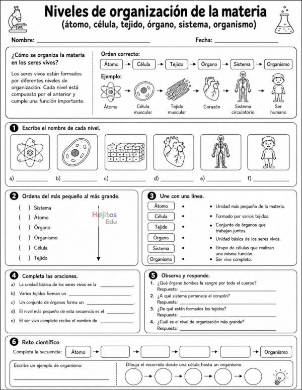 Niveles de Organización de la Materia