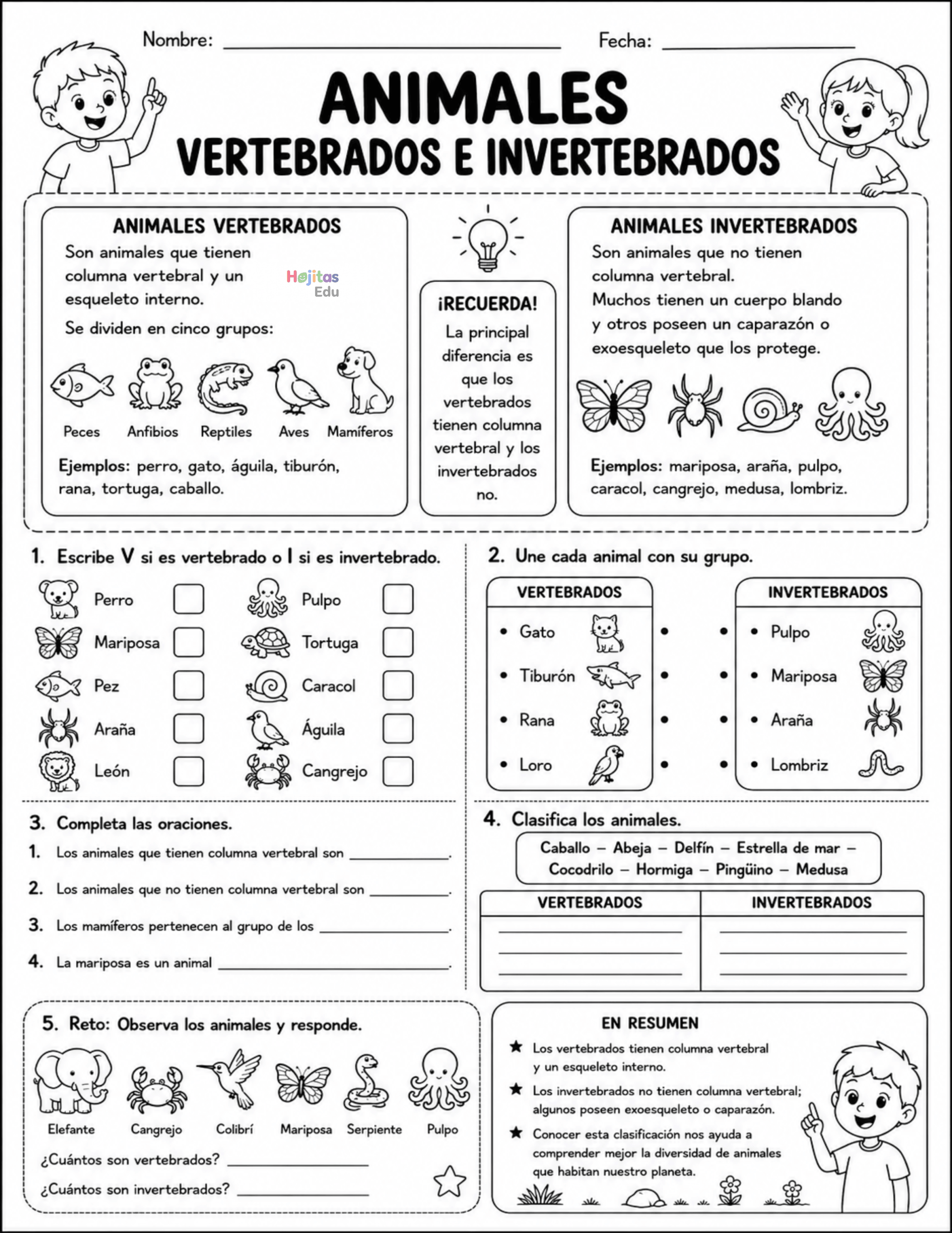 Animales vertebrados e invertebrados