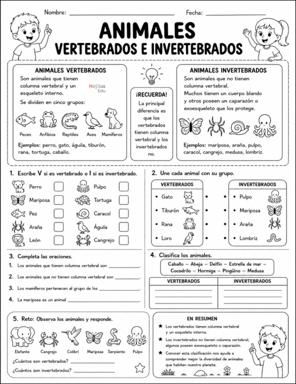 Animales vertebrados e invertebrados