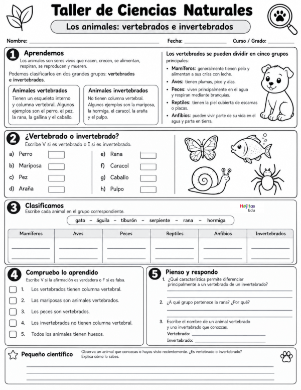 Animales Vertebrados e Invertebrados | Taller de Ciencias Naturales