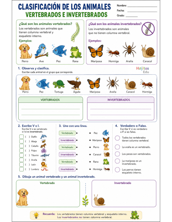 Clasificación de los Animales: Vertebrados e Invertebrados