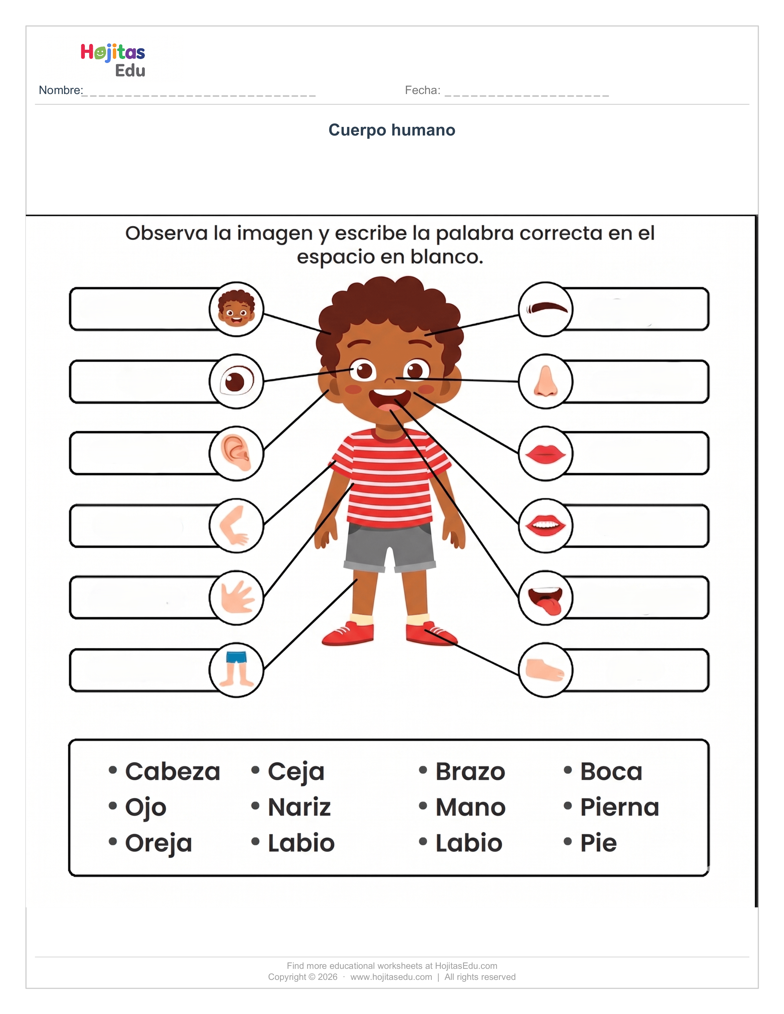 Partes del Cuerpo Humano — Ficha para Etiquetar con Banco de Palabras