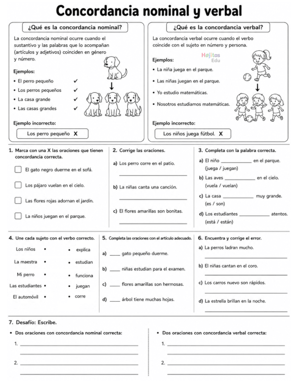 Concordancia Nominal y Verbal para Primaria: Taller de Gramática con Ejercicios