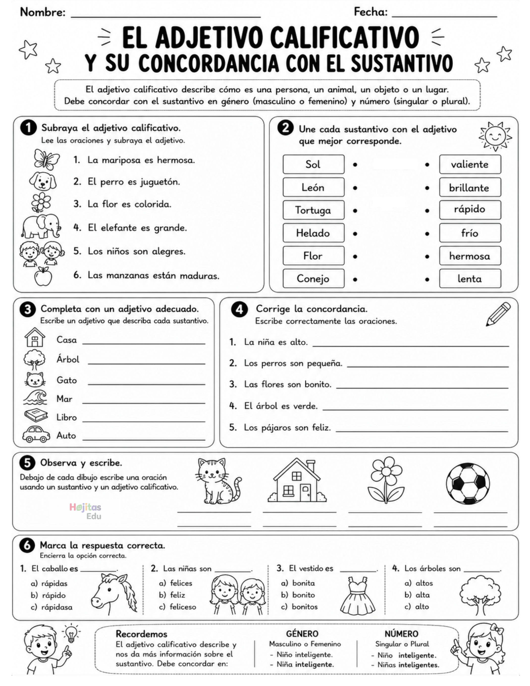 El Adjetivo Calificativo y su Concordancia con el Sustantivo