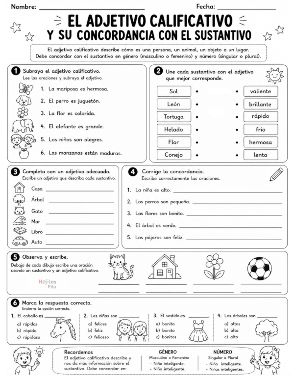 El Adjetivo Calificativo y su Concordancia con el Sustantivo