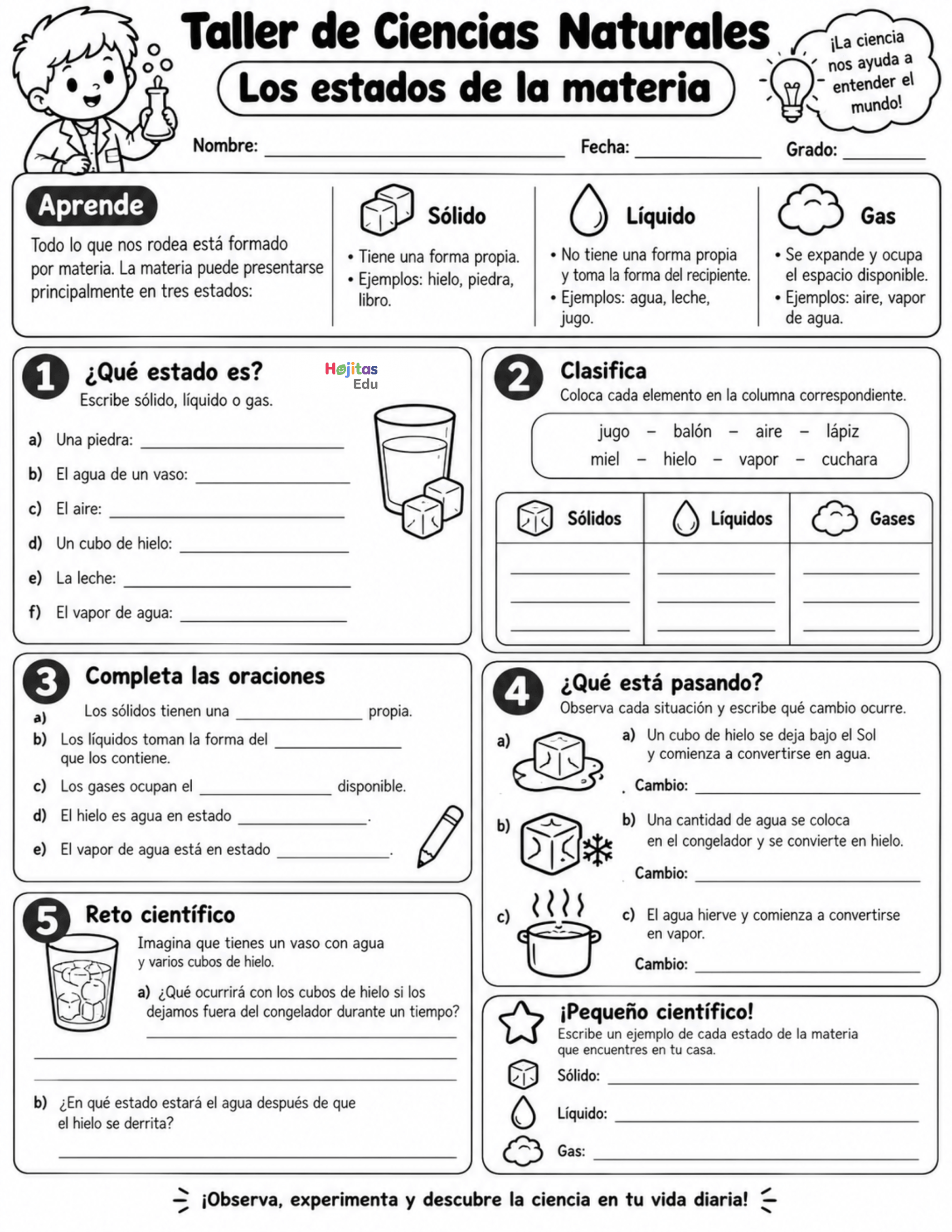 Estados de la Materia | Taller de Ciencias Naturales