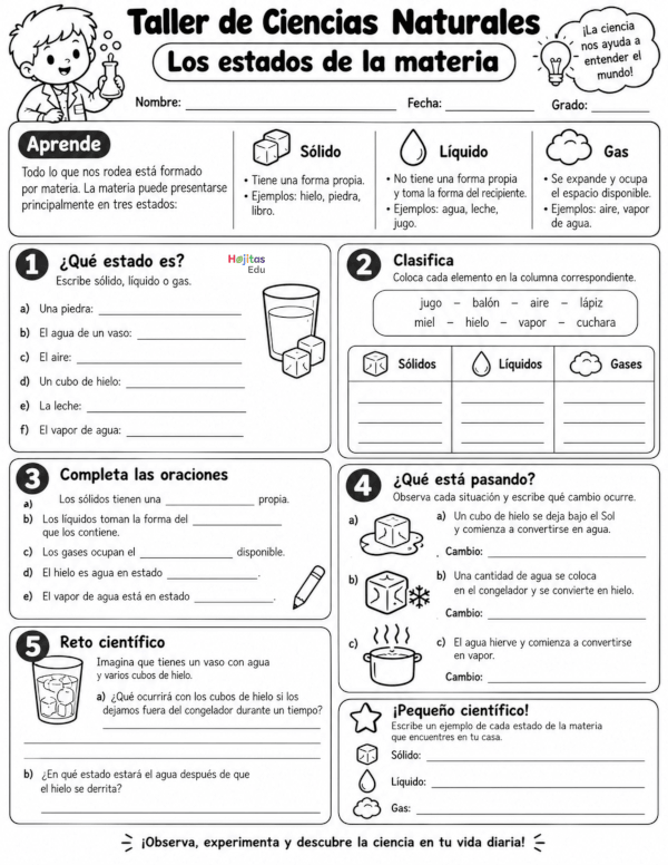 Estados de la Materia | Taller de Ciencias Naturales