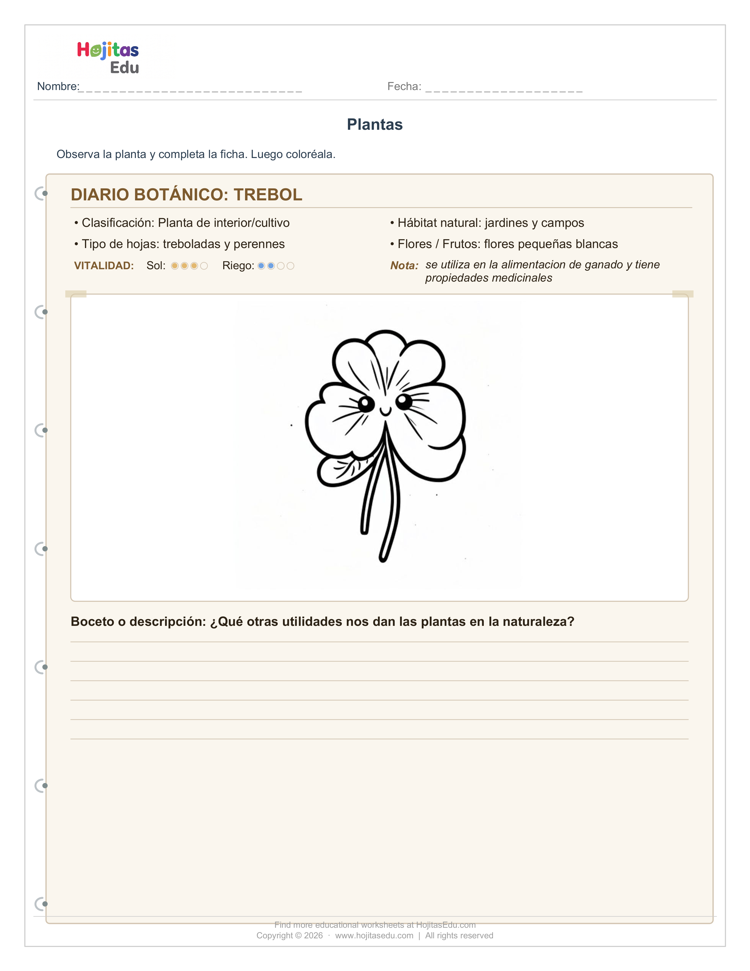 Ficha del Trébol — Tipo, Hábitat, Hojas y Datos Curiosos