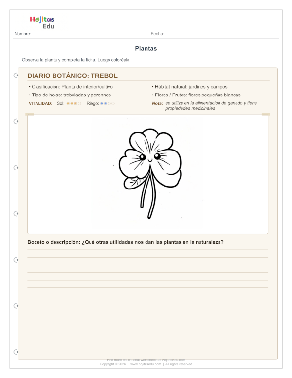 Ficha del Trébol — Tipo, Hábitat, Hojas y Datos Curiosos