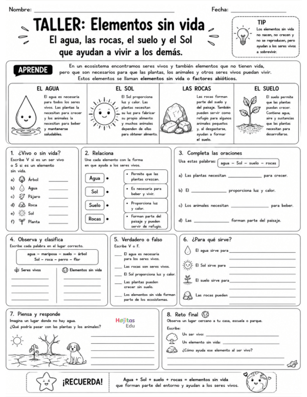 Taller de elementos sin vida: agua, suelo, rocas y Sol