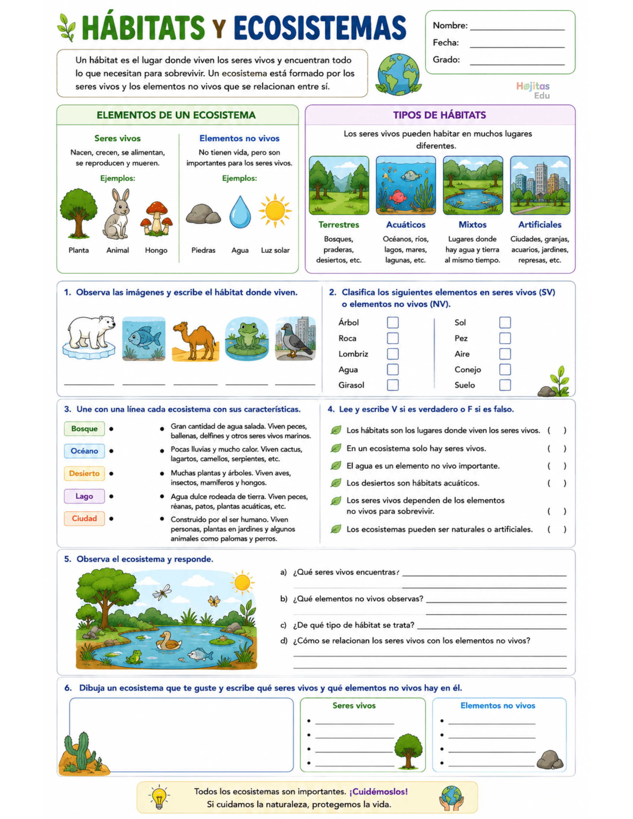 Hábitats y Ecosistemas: Hoja de Trabajo de Ciencias Naturales